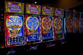 evojili sports betting hero view for Bangladesh cricket and football users