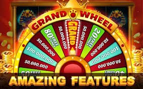 cricket football and tennis interest on evojili sports betting page